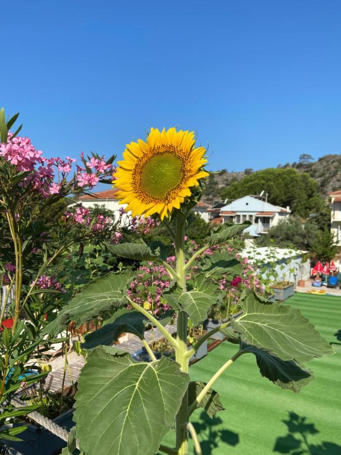 Hotel On Oda Ölüdeniz Exterior foto